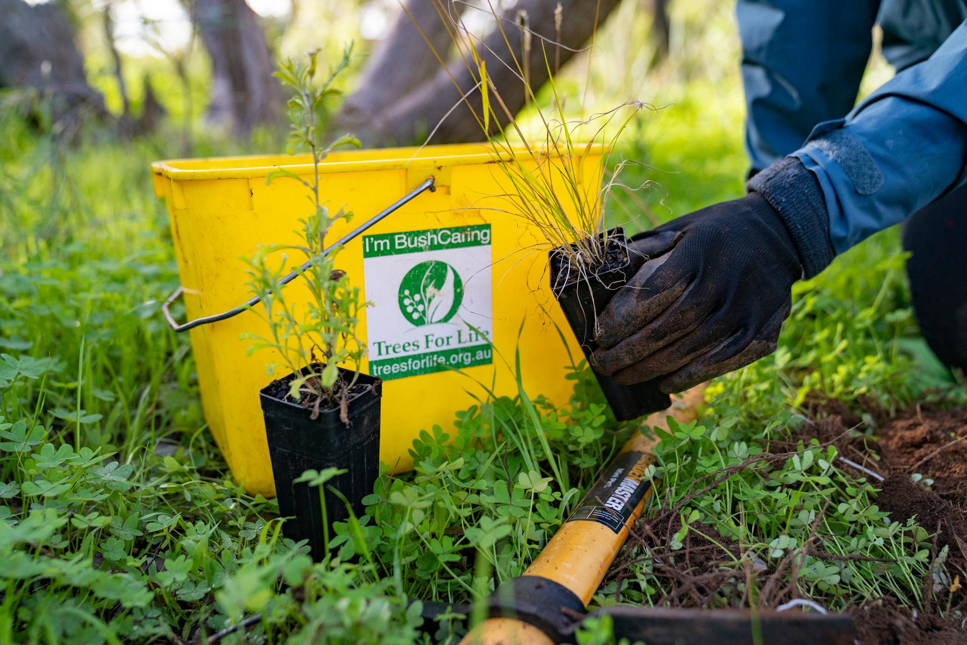 RAA To Help River Communities Rebuild Through Grassroots Giving Grants 