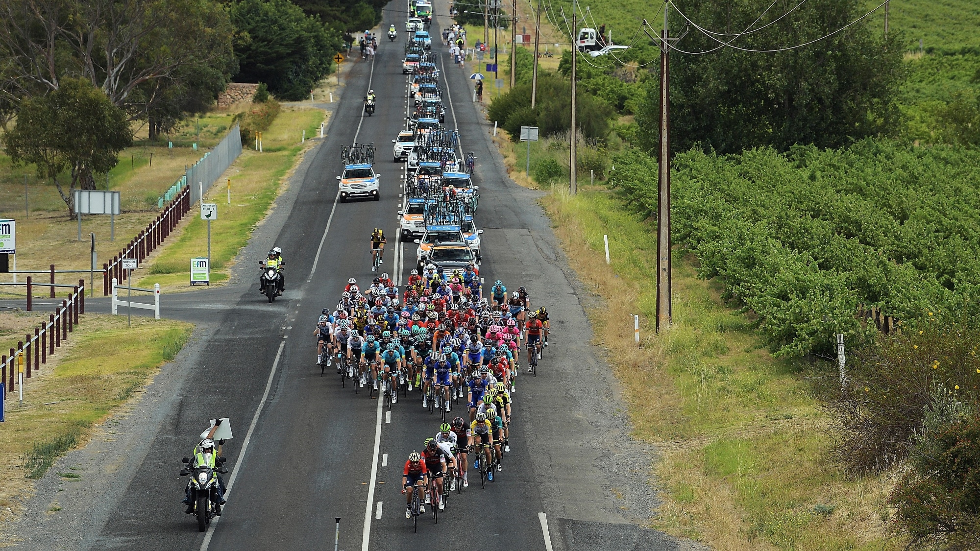 RAA calls for respect from all road users ahead of Tour Down Under