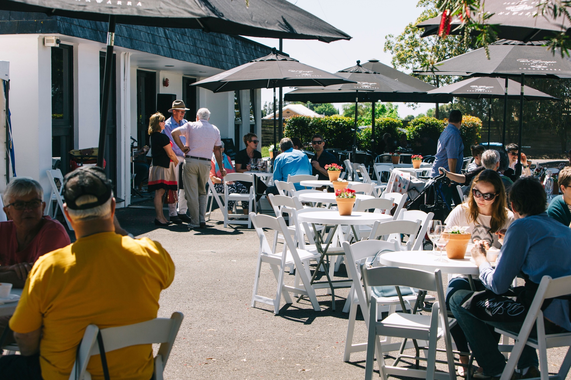 RAA partners with Coonawarra Fringe to reward members - RAA Daily